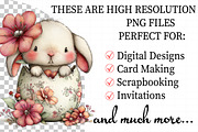 Boho Easter Elements Bundle, an Illustration by Daily.Designs (Thumbnail 2 of 8)