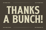 Virevont, a Serif Font by graphicook (Thumbnail 10 of 10)