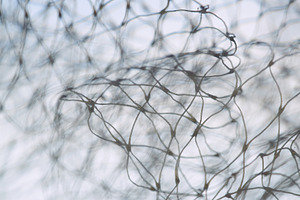 Vertical macro of white nylon mesh with selective focus on blue background. Int, an Abstract Photo by Rohan Photography