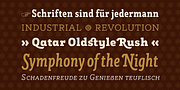 Rogliano Pro, a Slab Serif Font by Untype (Thumbnail 5 of 26)