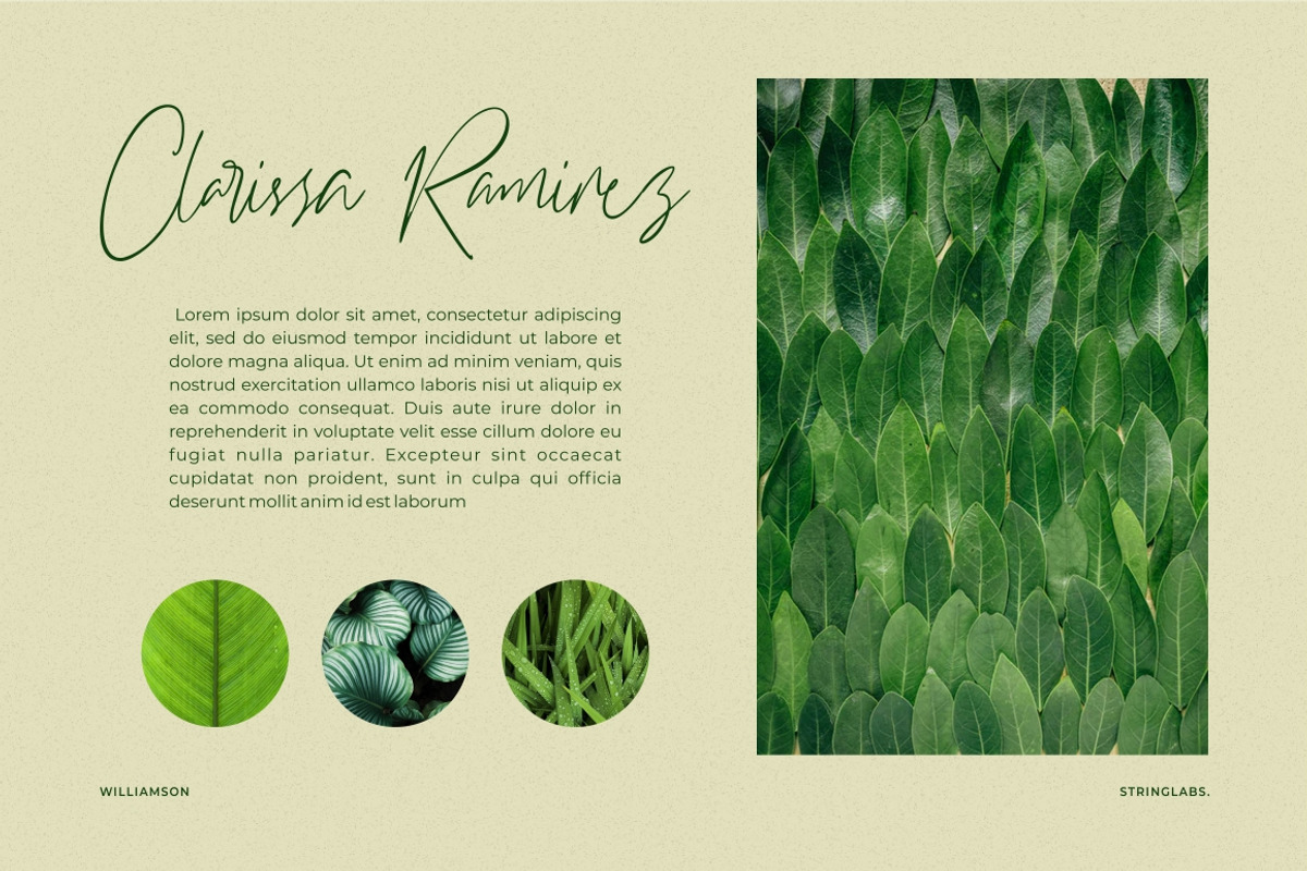 Williamson - Luxury Signature Font preview 7