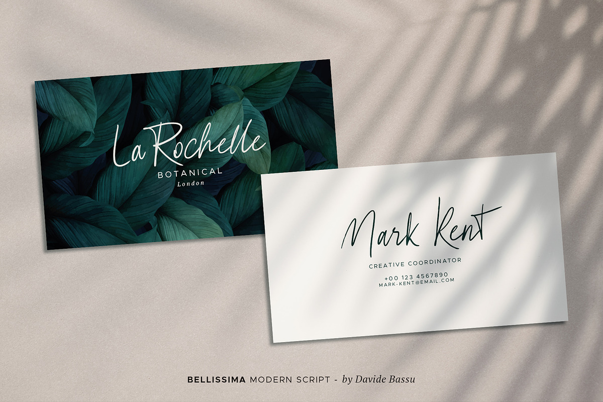 Bellissima - Messy & Modern script preview 5