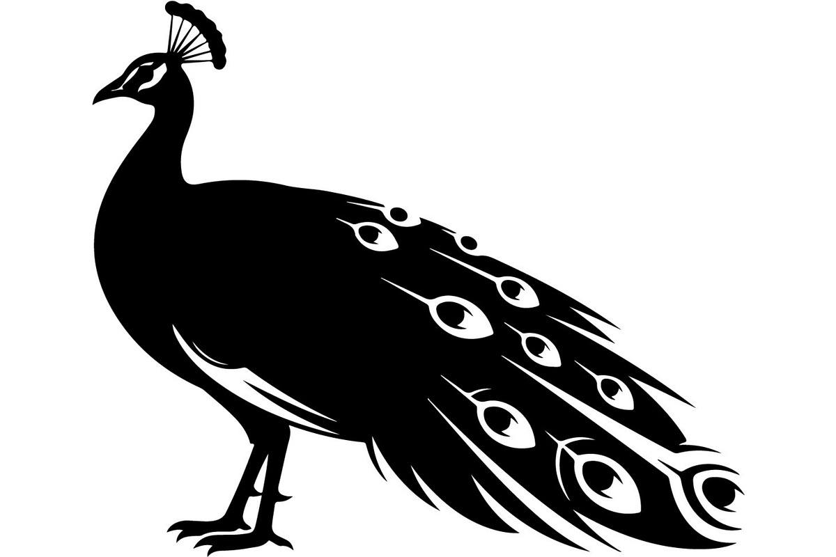 Bird Silhouette Vector Mega Bundle, an Animal Illustration by Designer_Momina (Photo 3 of 21)