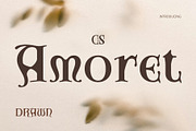 CS Amoret Drawn, a Serif Font by Craft Supply Co. (Thumbnail 1 of 8)