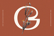 Romns Font Family, a Sans Serif Font by Aiyari (Thumbnail 9 of 13)