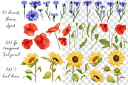 Wildflowers, stripes, checks bandle, a Pattern Graphic by Oksana Dovhopol Art (Thumbnail 20 of 23)