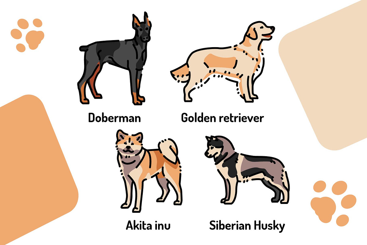 Breed dogs icons set, an Animal Illustration by Backwoods_studio (Photo 7 of 10)