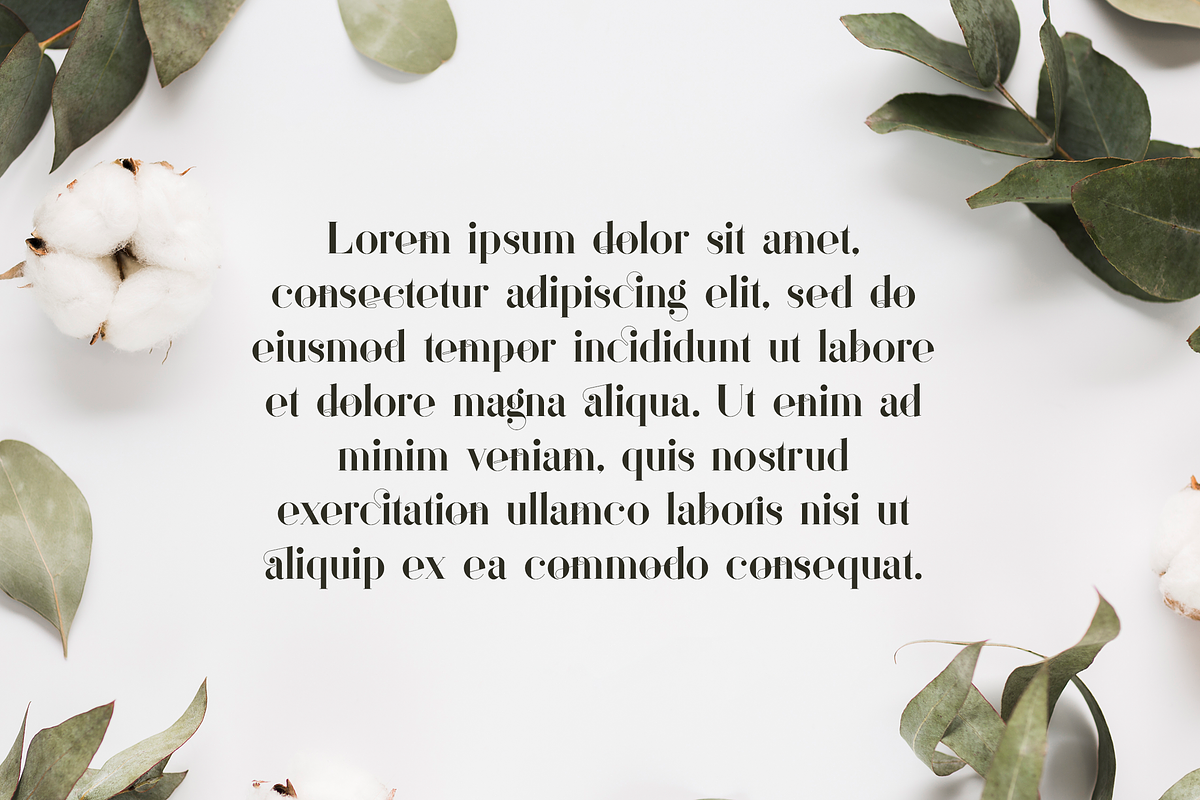 Sonder Serif Typeface - 5 weights, a Serif Font by VP Fonts (Photo 7 of 9)