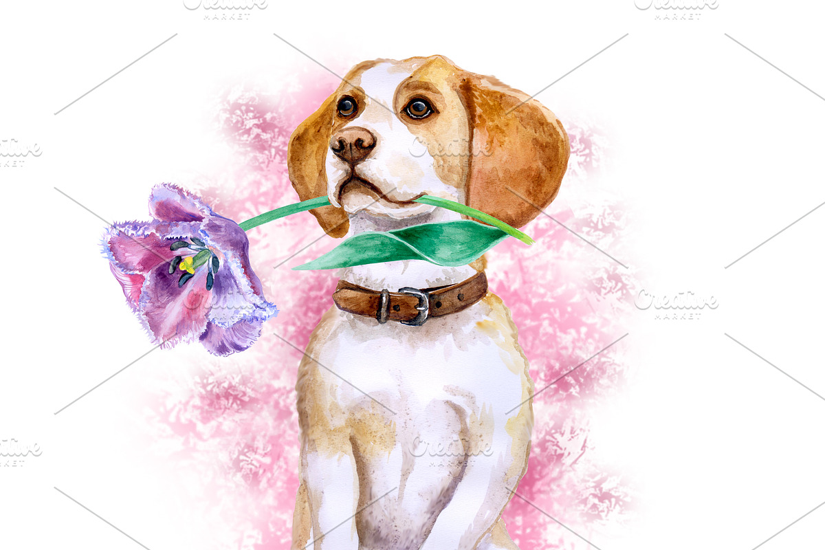 Watercolor Dogs Mega Big Bundle, an Illustration by Dneprstock (Photo 6 of 60)