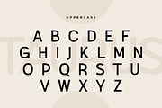 Taurus - Modern Unique Stylish Font, a Sans Serif Font by Hamz Studio (Thumbnail 6 of 17)