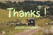 Bumiku - Handwritten Nature Typeface, a Handwritten Font by delipensil (Thumbnail 11 of 12)