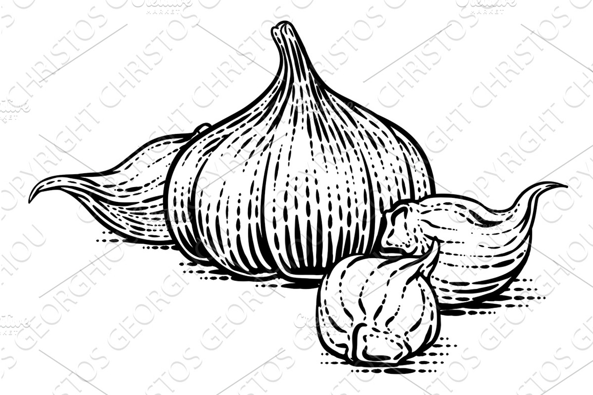 Garlic Vegetable Vintage Woodcut, a Food Illustration by Christos Georghiou