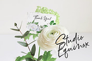 LUSH, chapter 2 Greenery Art Project, an Object Graphic by studioequinox (Thumbnail 14 of 14)