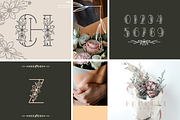 Krisan | Flower Font, a Symbol Font by Joko Setiono (Thumbnail 3 of 10)