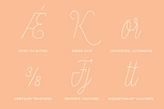 Quatre, a Script Font by Blank Is The New Black (Thumbnail 4 of 9)