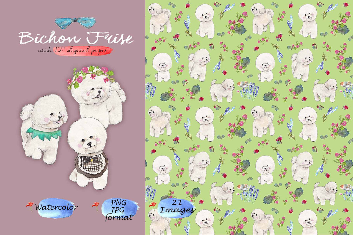 Bichon Frise Clipart Digital Paper, an Animal Illustration by VianneArt (Photo 1 of 7)