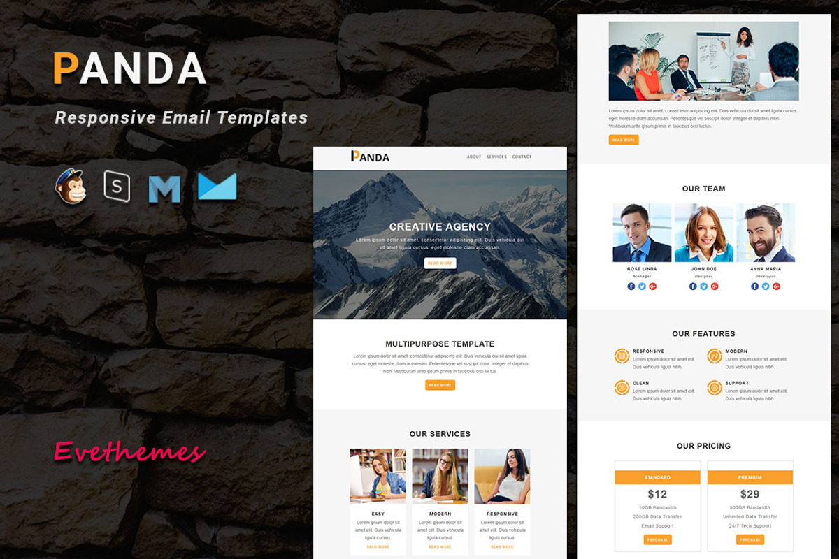 PANDA - Responsive Email Template, an Email Template by evethemes (Photo 1 of 3)