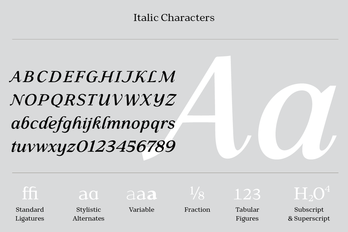 Gibralt Font | Modern Serif Typeface, a Serif Font by Namela Studio (Photo 3 of 10)