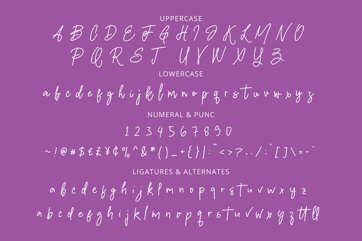 Hanzera – Unique Pixel Signature, a Handwritten Font by tebaltipislab (Photo 10 of 11)