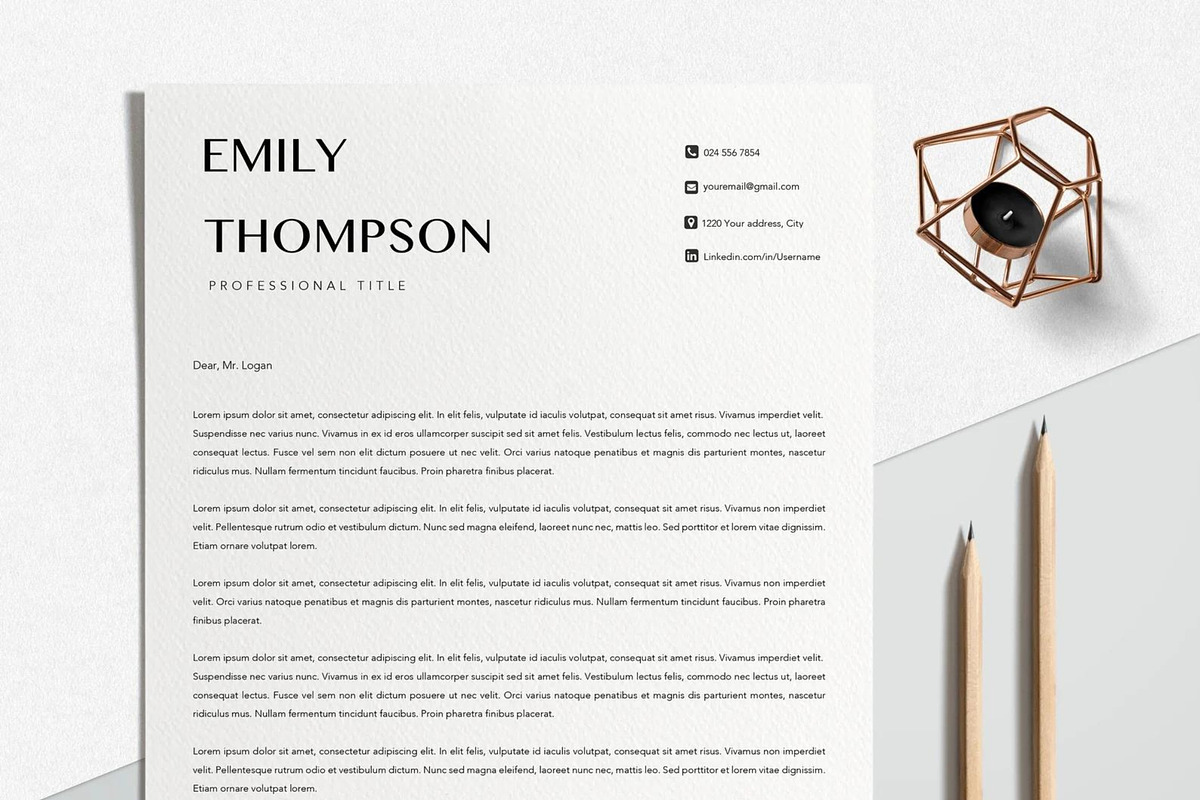 Resume Template Professional, a Resume Template by LucaTheme (Photo 3 of 10)