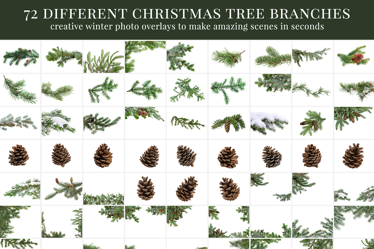Thru the Pines photo overlays, a Layer Style Add-On by BrownLeopard (Photo 2 of 6)