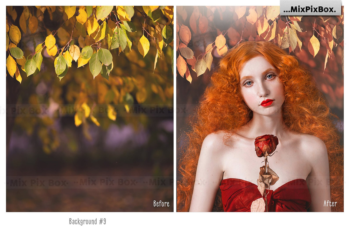 Autumn Portrait Backgrounds, a Background Graphic by MixPixBox (Photo 7 of 8)