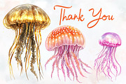 jellyfish, watercolor, cliparts, sea, an Illustration by RobertsArt (Thumbnail 5 of 7)