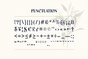 Westiva Fonts Family, a Serif Font by Asenbayu (Thumbnail 13 of 14)