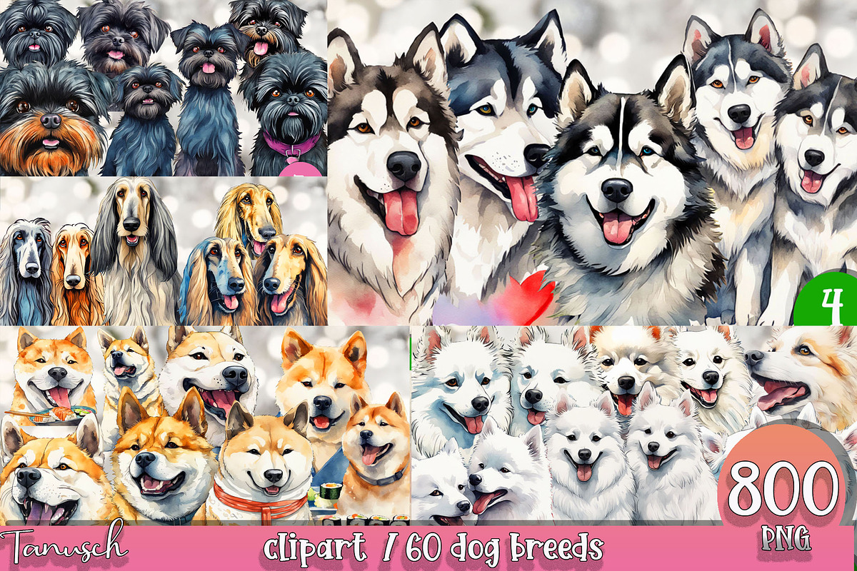 watercolor dog breeds bundle, an Animal Illustration by TanuschArts (Photo 2 of 7)