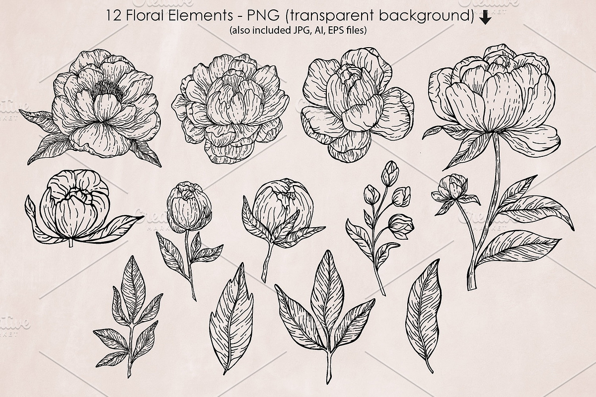 Black Outline Peony Flowers Set, an Illustration by ArtIrisArt (Photo 2 of 13)