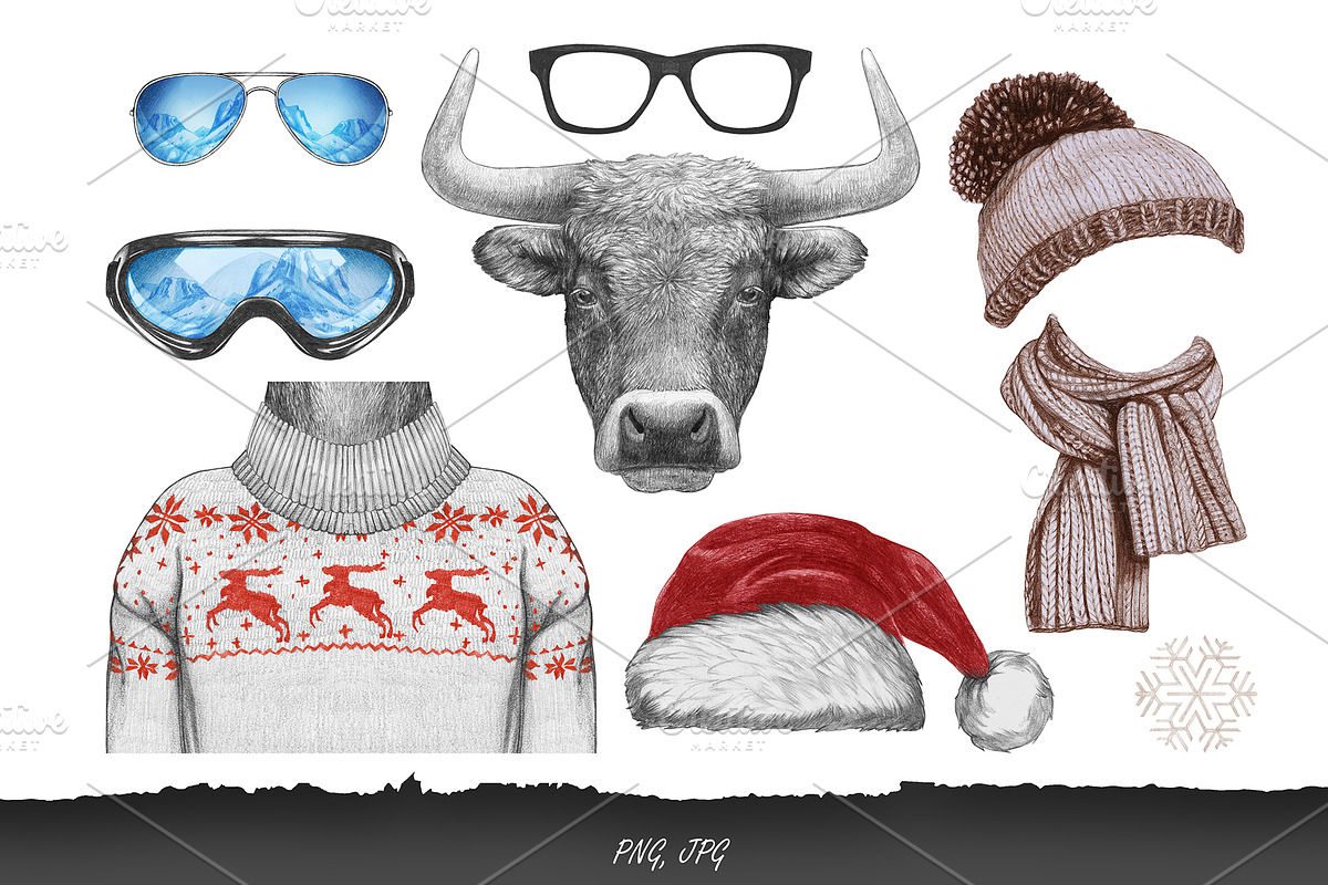 Bull / Wintertime, an Animal Illustration by Victoria_Novak (Photo 3 of 4)