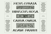 Briar - Fluid Variable Typeface, a Sans Serif Font by Barrett Reid-Maroney (Thumbnail 8 of 10)
