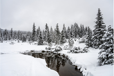 Snowy landscape with trees and small, a Nature Photo by pytyczech