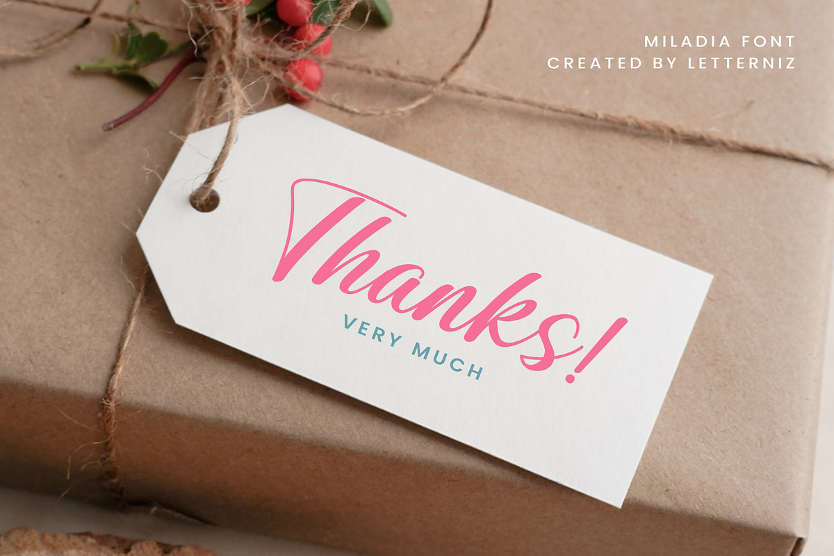 Miladia lovely script font, a Script Font by nizarbagasm (Photo 7 of 7)
