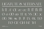 Light Rock - Elegant Modern Serif, a Serif Font by roomspace creative lab (Thumbnail 13 of 14)