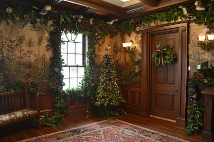 Room adorned with a Christmas tree,, a Photo by Iftikhar Alam