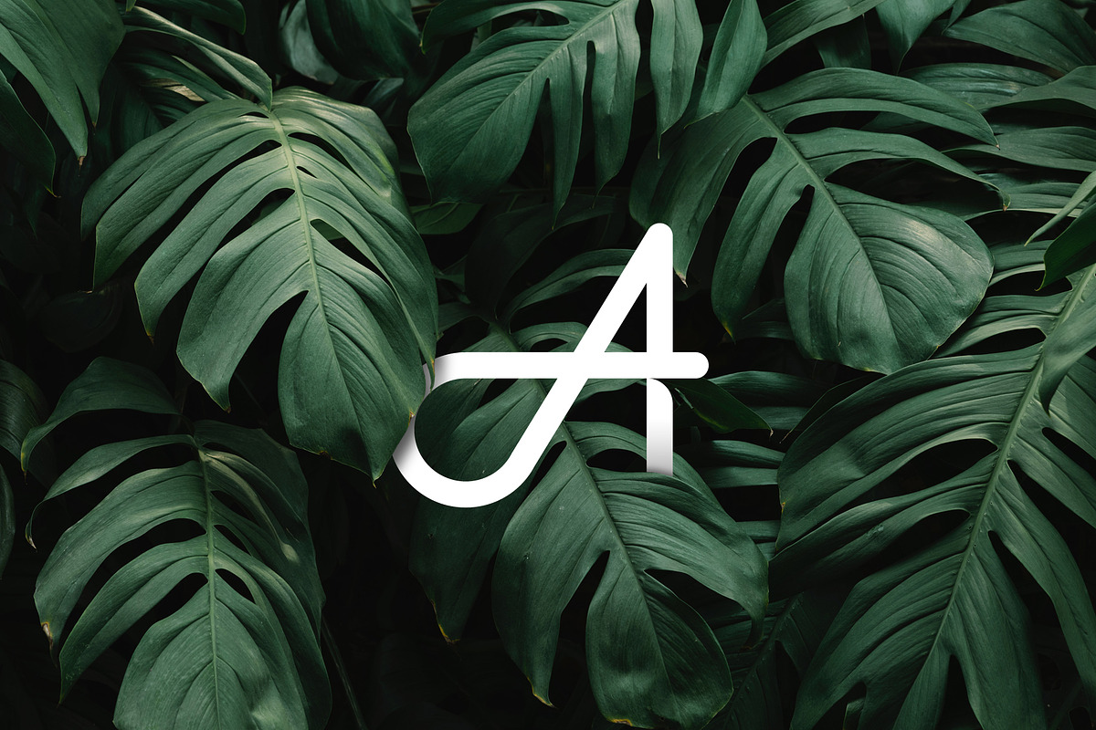 A Lettermarks Collection, a Branding & Logo Template by Musafeer Studio (Photo 4 of 9)