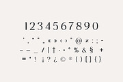 Nordstove Unique Serif Font, a Serif Font by UICreative (Thumbnail 4 of 13)