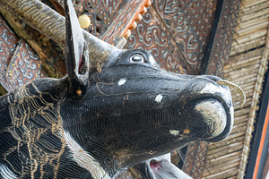 Carved buffalo head on Toraja house, Sulawesi, Indonesia, an Architecture Photo by GoodGoods