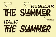 Sun Summer - Display Font, a Handwritten Font by alifryanzulfikar (Thumbnail 7 of 9)