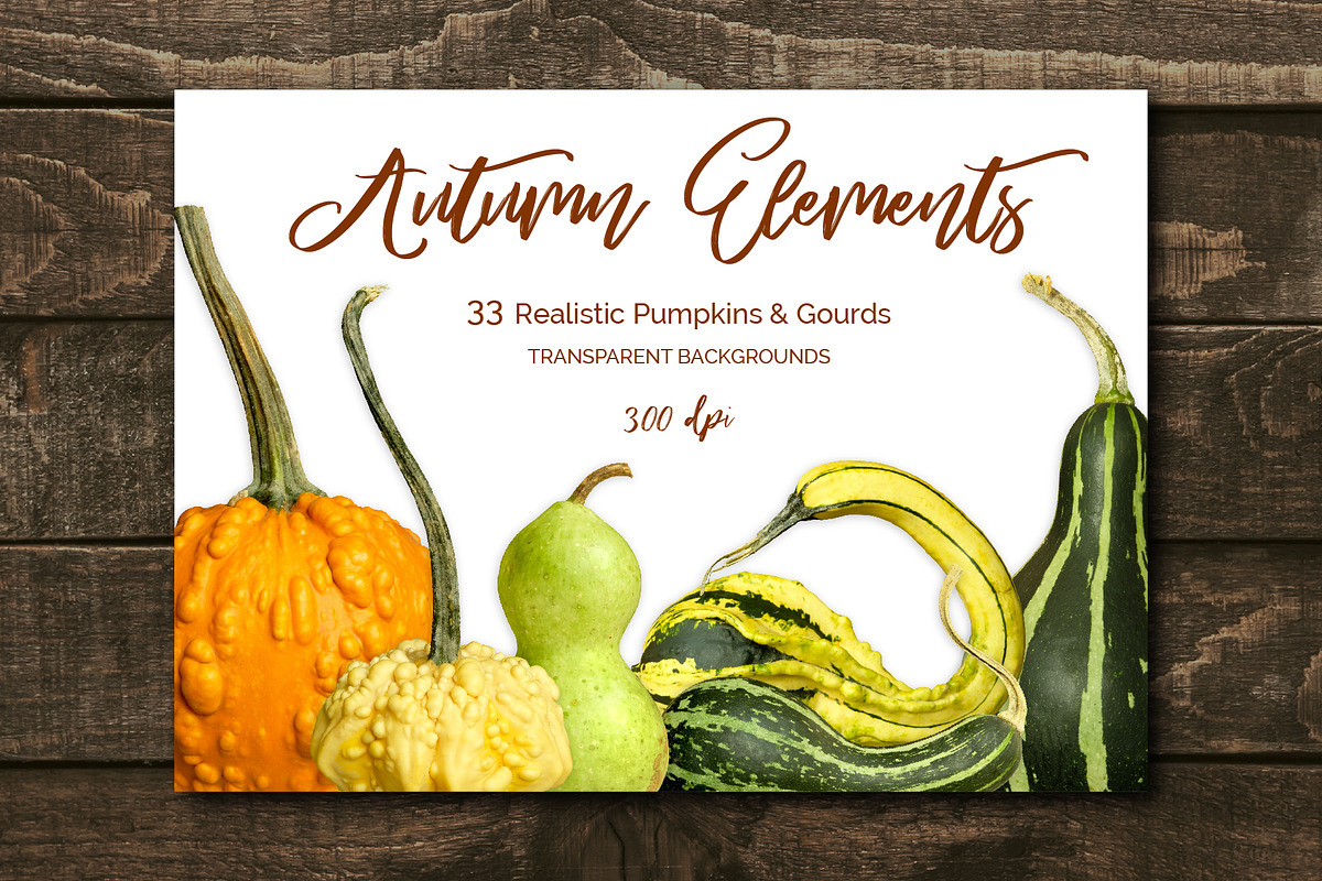 Pumpkins & Gourds - 33 Realistic, an Object Graphic by Turning Moss (Photo 5 of 6)