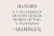 BrandNew Delicate Playful Serif, a Serif Font by BilberryCreates (Thumbnail 5 of 10)