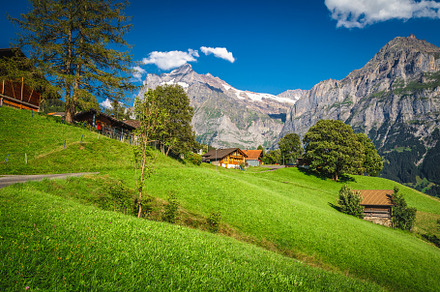 Alpine houses on the slope