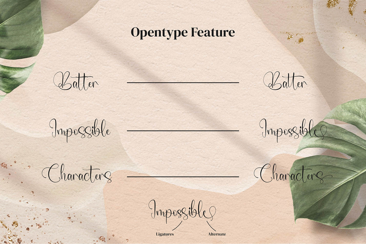 Janoela Seolen, a Script Font by Integritype Studio (Photo 8 of 12)