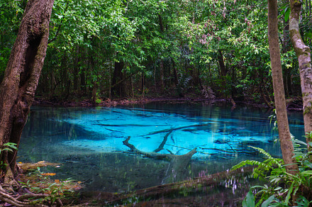 Emerald Pool at Krabi Province, Thailand. Amazing nature crystal, a Nature Photo by Casanowe-studio