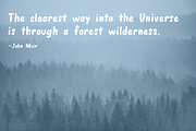Wander Wild, a Sans Serif Font by Abby Van Haren (Thumbnail 7 of 8)
