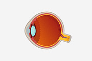 Human Eye Cross-Section, an Education Illustration by Beatriz Gascón (Thumbnail 2 of 3)