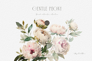 Gentle Peony Floral