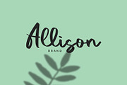 Vacation Modern Script Font, a Script Font by Giant Design (Thumbnail 2 of 10)