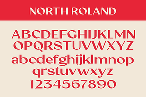 North Roland - Display Sans Serif